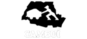 Logo Carbonífera do Cambui